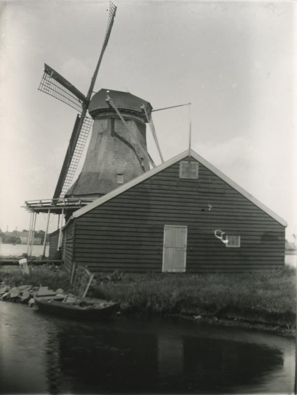 Foto 2028419571